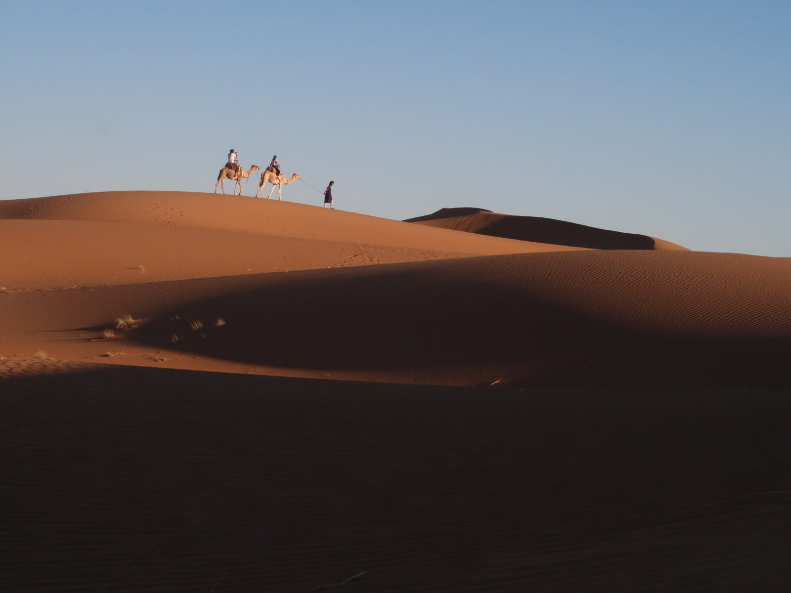 The Golden Dunes of Chgaga Sahara Desert in Morocco