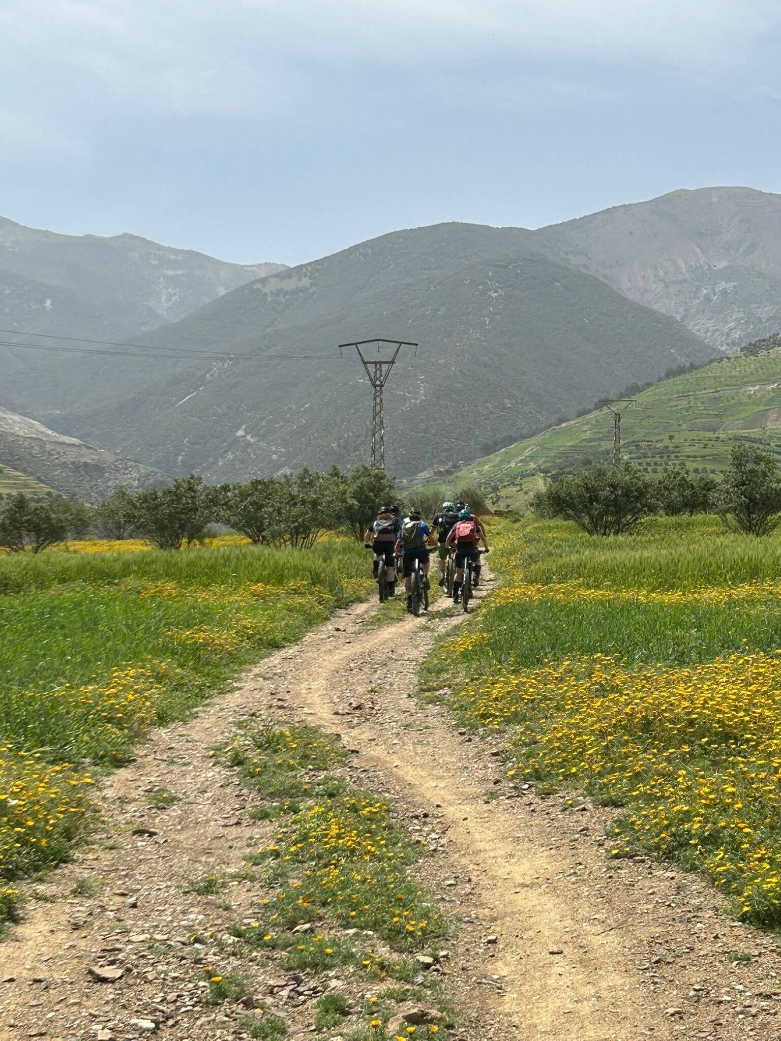 Mountain bikers riding through a green valley in Morocco