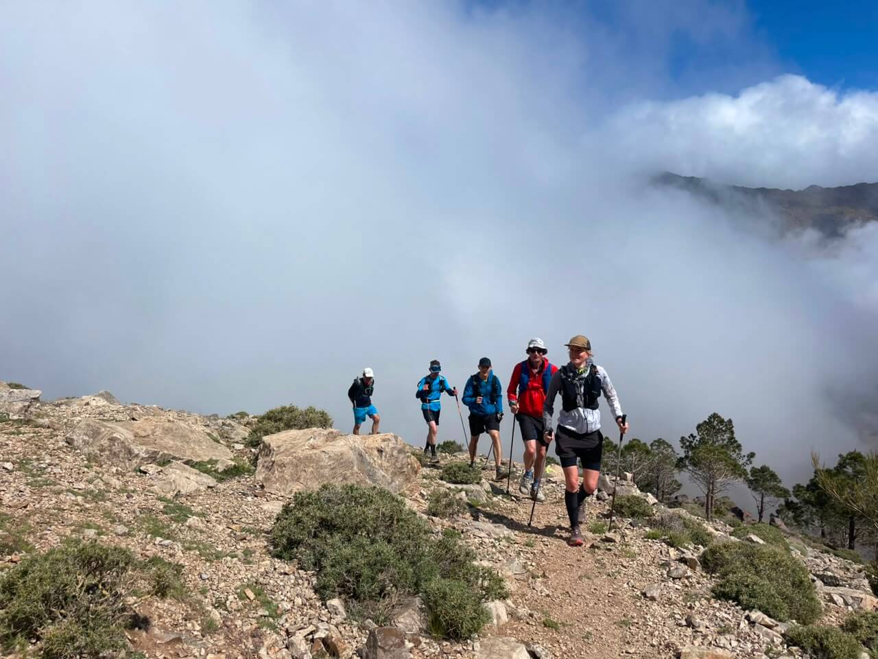 Mountain Trail Running Above Imlil Trail running through pine forest above Imlil in the High Atlas Mountains