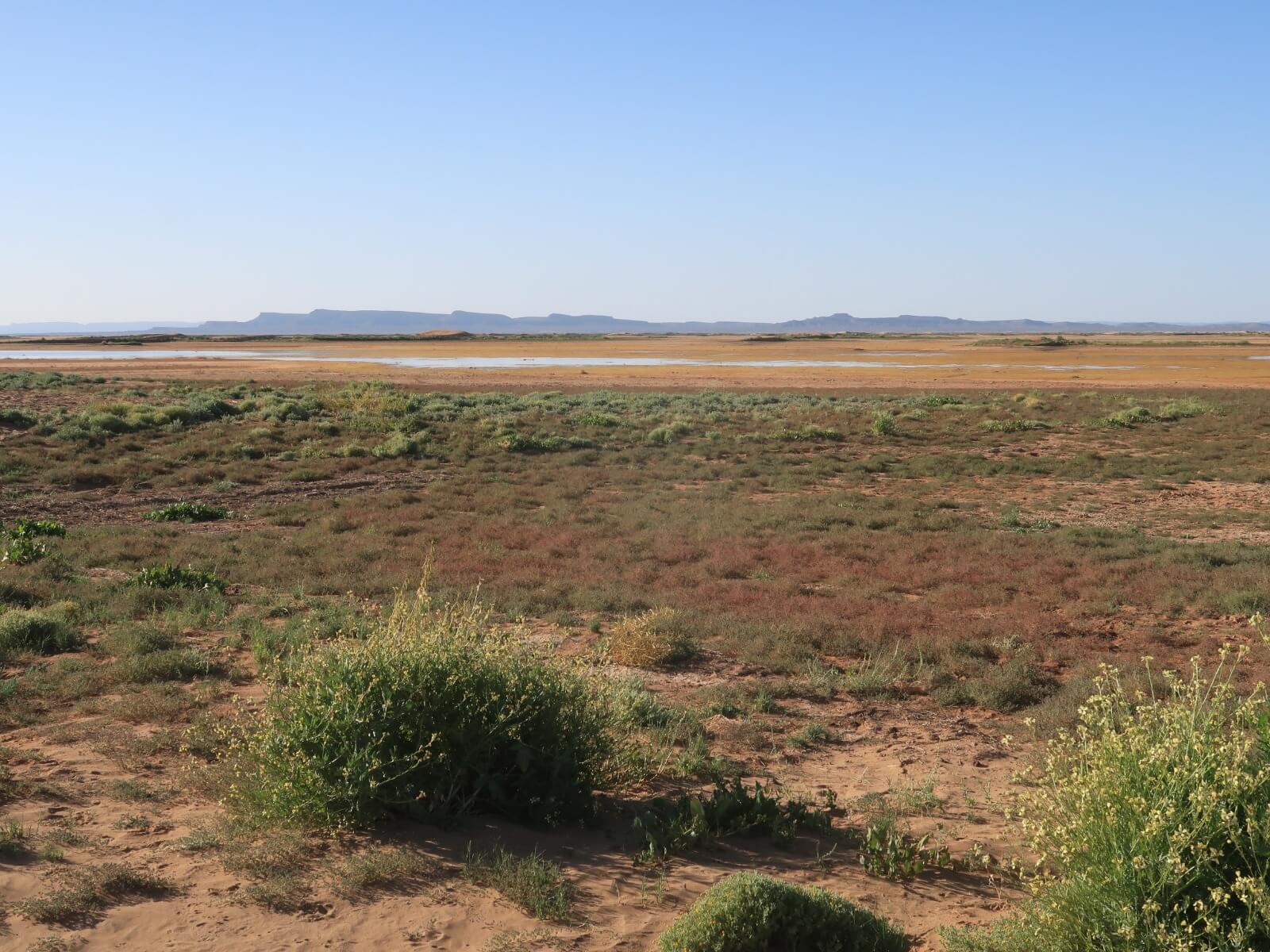 Lake Iriki and the vast desert landscape of southern Morocco near the Sahara