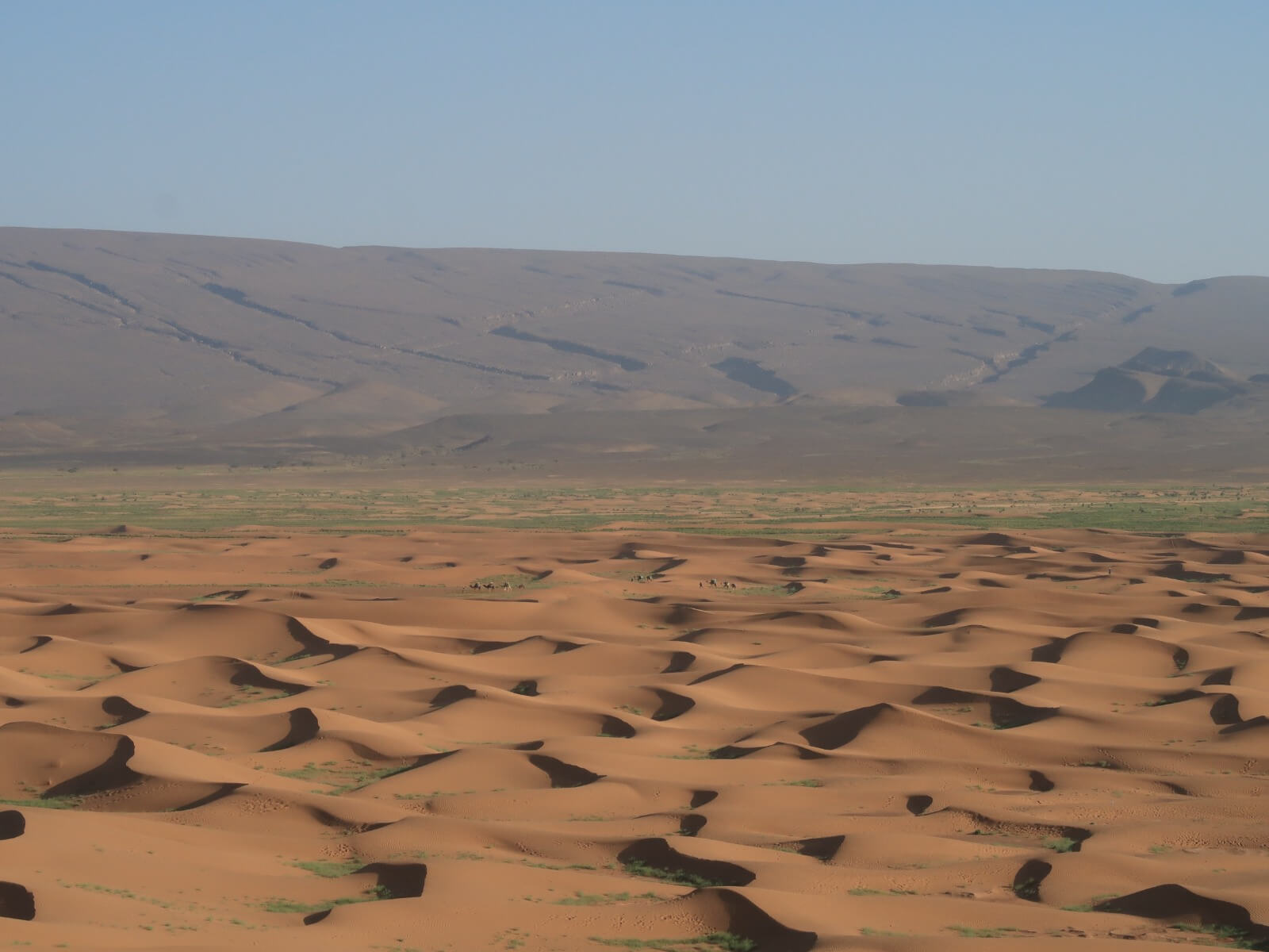 Sea of sand dunes in the Moroccan Sahara during an 8-day desert trekking expedition