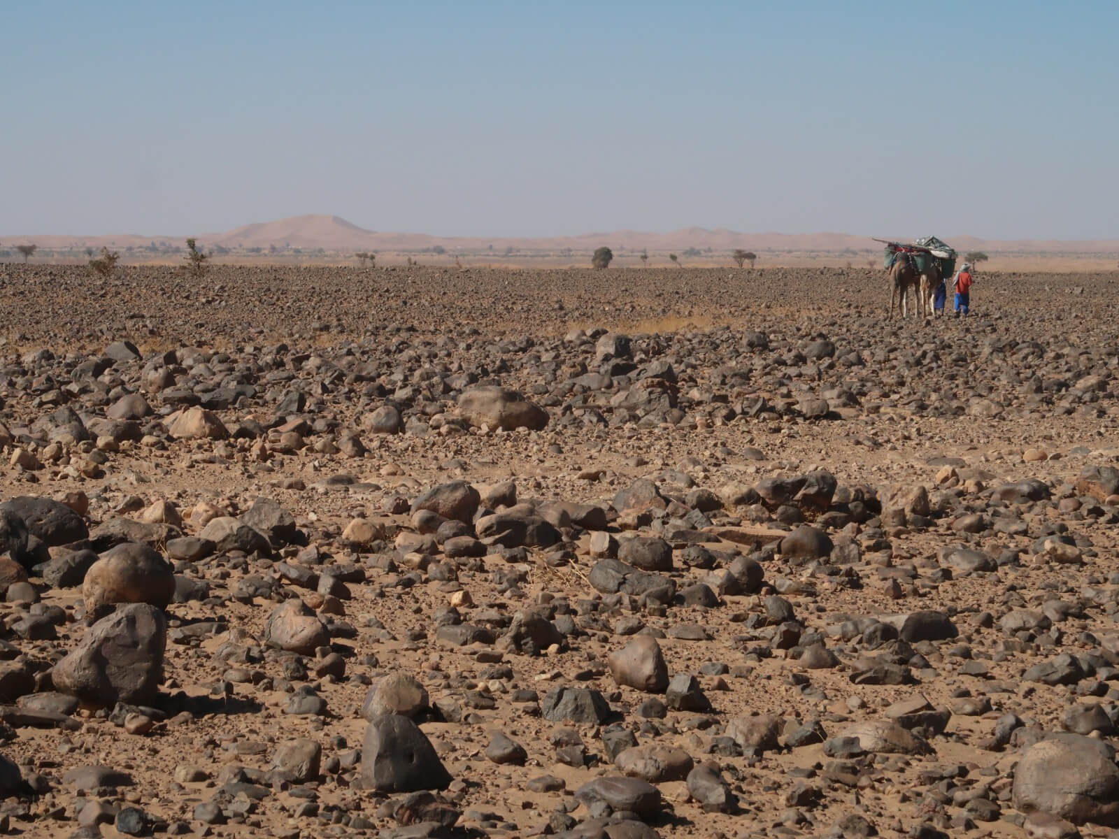 Hidden oasis surrounded by the desert landscapes of southern Morocco